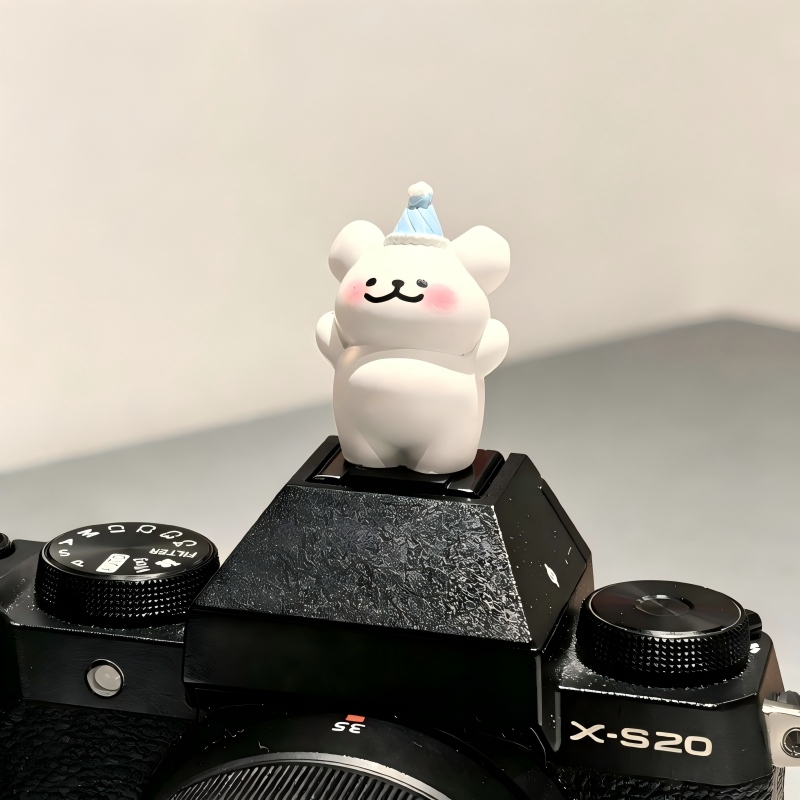 غطاء حذاء الكاميرا بتصميم دب ل - مراجعة Sony Camera Zv-E10 وسعره