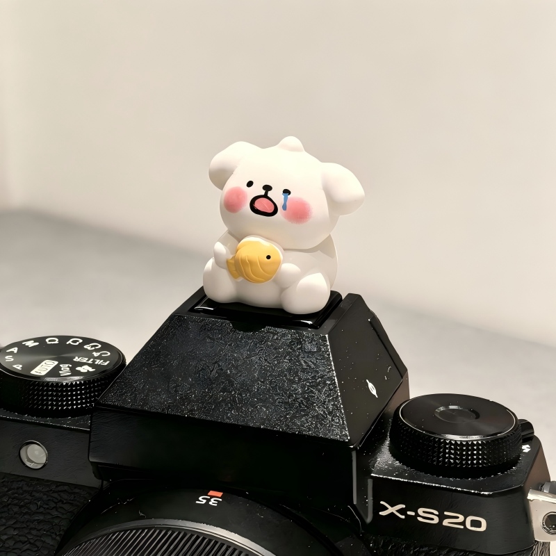 غطاء حذاء الكاميرا بتصميم دب ل - مراجعة Sony Camera Zv-E10 وسعره
